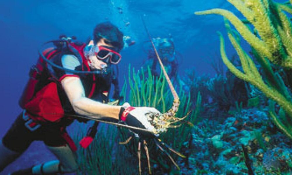 why-scuba-diving-charters-in-islamorada-are-a-must-do-in-the-florida-keys